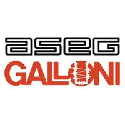 Aseg Galloni Spa<