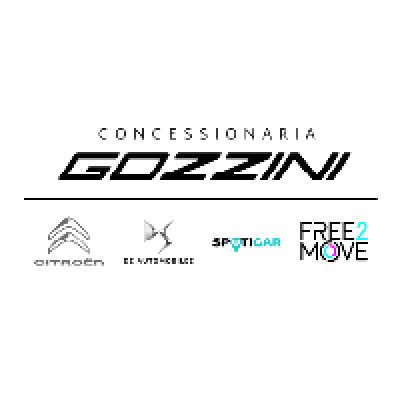 Concessionaria Gozzini Srl<