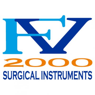 FV 2000 Srls<